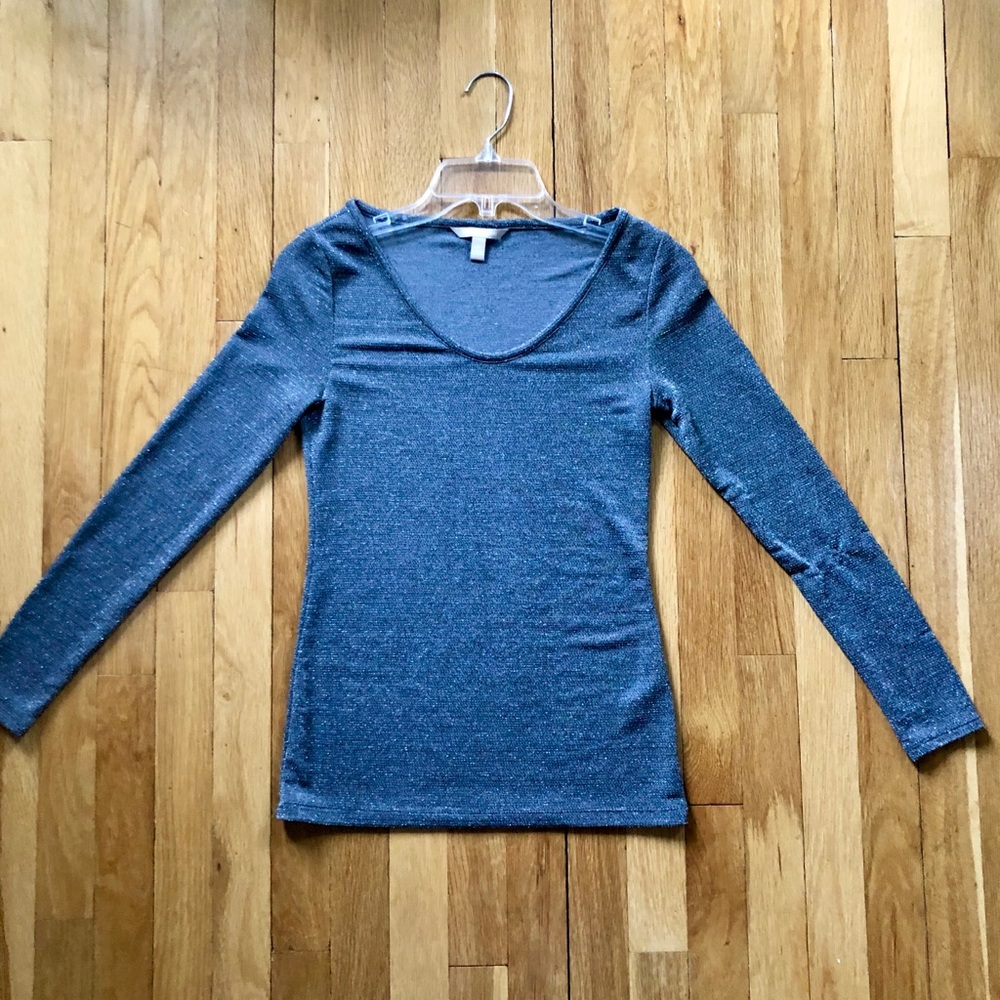 🆕 Banana Republic Silver Top